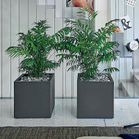 Kübel Cosmos CUBO 45x45x45cm 47L antr