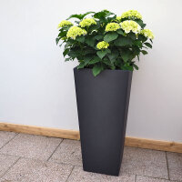 Vase Genesis quad 31x31x70cm 12Ltr. antr