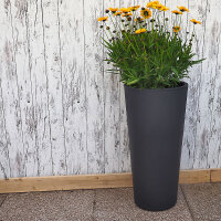 Vase Genesis rondo 31x70cm 15Ltr. antr