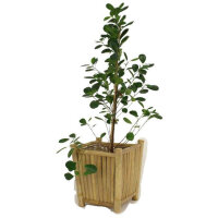 Planter Bamboo Natural  29x29cm