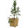 Planter Bamboo Natural  34x34cm
