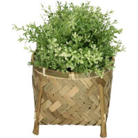 Planter Bamboo Plait Set 36,26,20cm