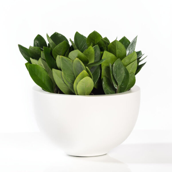 Peter M ø29cm / 18cm 5,0L matte white