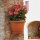 Wandkübel Olimpo 25x16/18cm 2,9 Ltr terr