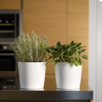 Topf MEY  Ø20cm/18cm O3 weiss