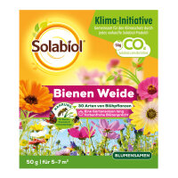 Bienenweide Solabiol Blumensaat 50g  5-7m²