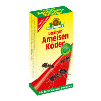 Loxiran Buffet Ameisennachfüllpack 40 ml