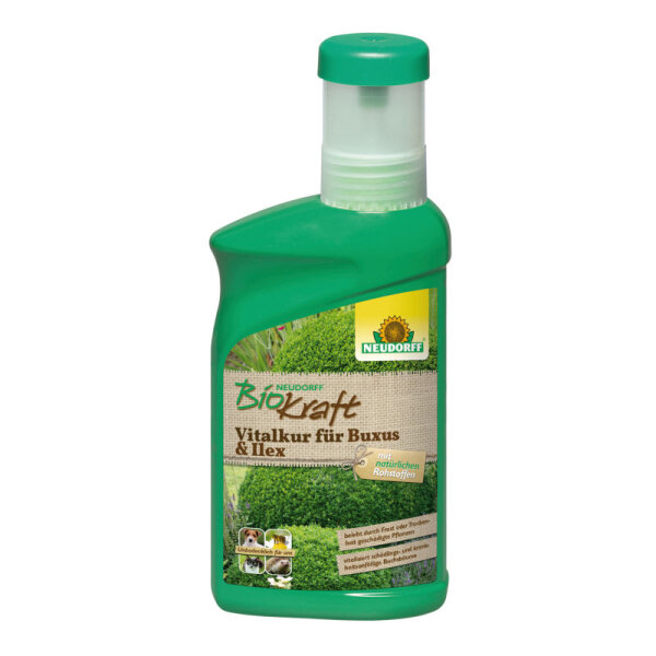 BioKraft Vitalkur Buxus+Ilex  6 x 300 ml