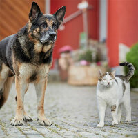 Protectan Hunde+Katzen Schreck 500ml
