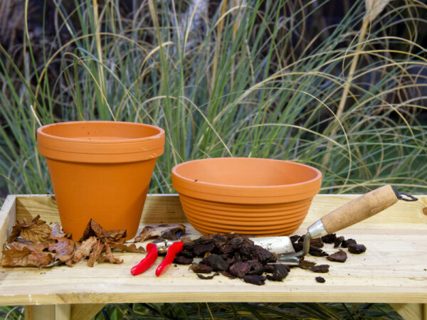 Tontopf BLT natur 29,3 / 23,3cm terracotta