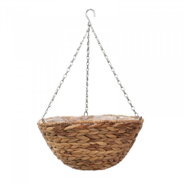 Hanging Basket Hyacinth 35cm 14"