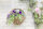 Wall Basket Hyacinth 40cm 16"