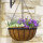 Hanging Basket Saxon 40cm 16"