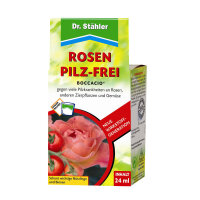 Boccacio Rosen Pilzfrei 24ml  Stähler