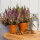 Tontopf BLT natur 21,9 / 19,3cm terracotta