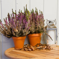 Tontopf BLT natur 26,0 / 22,30cm terracotta
