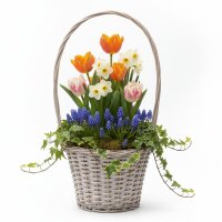 Korb Dreamy Garden 29 x 21cm mit Henkel grau