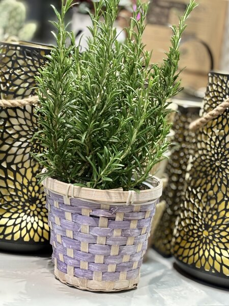 Korb Boaz 16,5cm x 14cm ES14  4 Farben