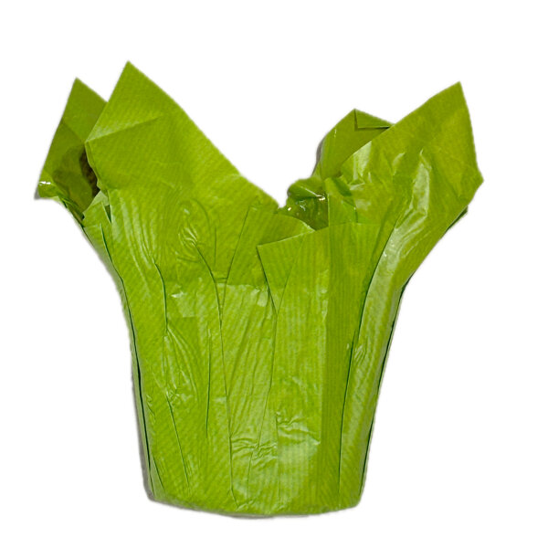 Fastwrap aus Kraftpapier 6cm hellgr&uuml;n