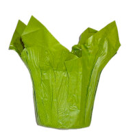 Fastwrap aus Kraftpapier 6cm hellgr&uuml;n