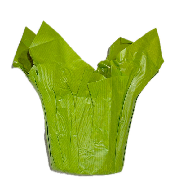 Fastwrap aus Kraftpapier 9cm hellgr&uuml;n