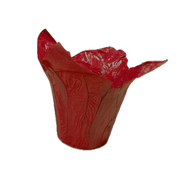 Fastwrap aus Kraftpapier 10,5cm rot