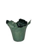 Fastwrap aus Kraftpapier 12,5cm dunkelgr&uuml;n