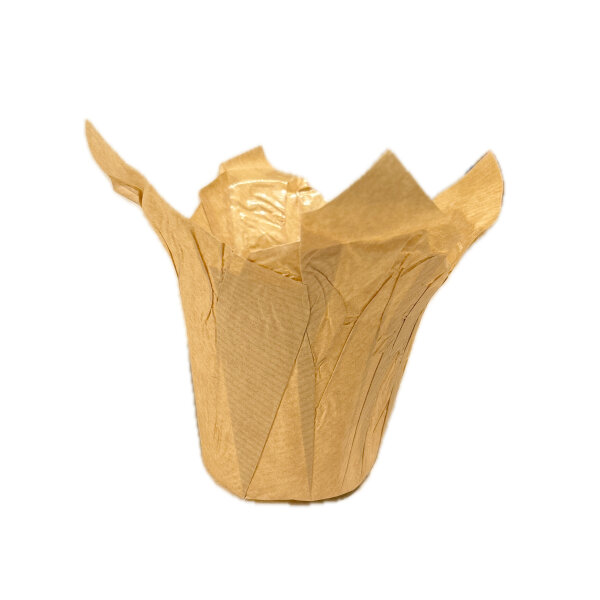 Fastwrap aus Kraftpapier 12,5cm natur