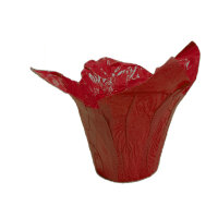 Fastwrap aus Kraftpapier 12,5cm rot