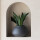 Imara L 24/16cm 4,1L Black Washed
