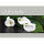 Gutscheinkarte Calla quer 11x15,5cm 40 Stück